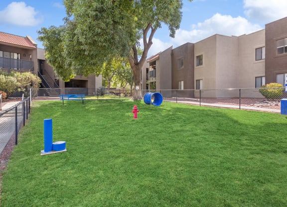 Community Dog Park with Agility Equipment at Saddle Ridge Apartments in Tucson, AZ.