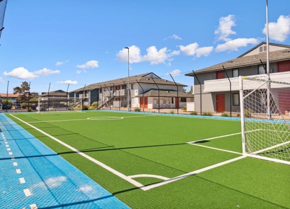 Soccer field
