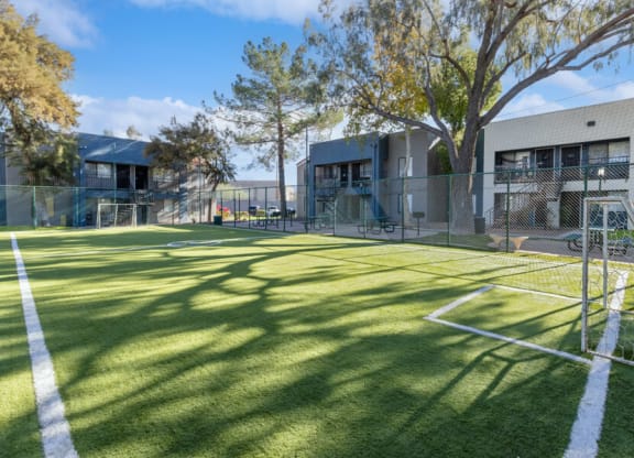 community soccer field
