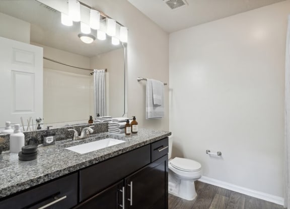 Model bathroom with dark vanity