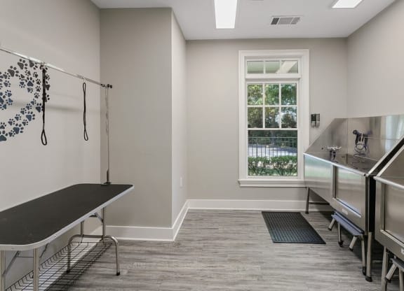 Dog Cleaning facility