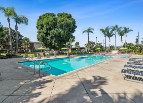 Pool and sundeck