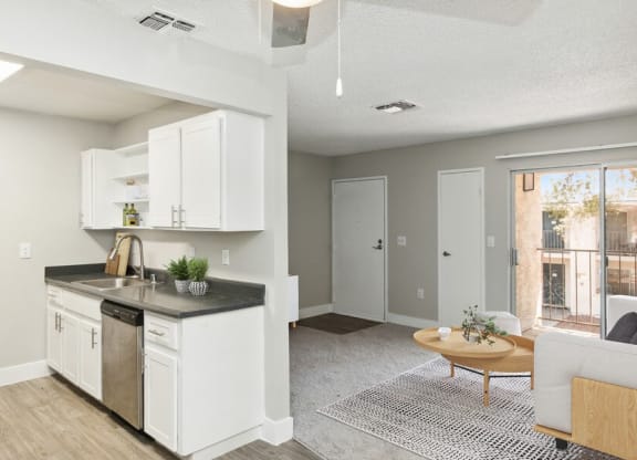 Model kitchen and living room