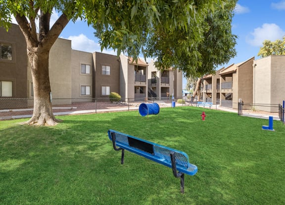 Community Dog Park with Agility Equipment at Saddle Ridge Apartments in Tucson, AZ.