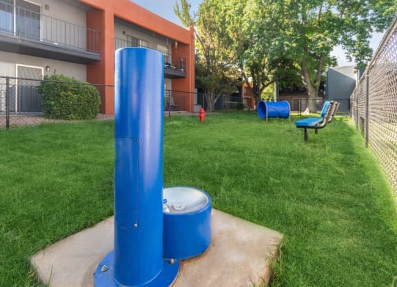Community Dog Park with Agility Equipment at Indigo Park Apartments in Albuquerque, NM.