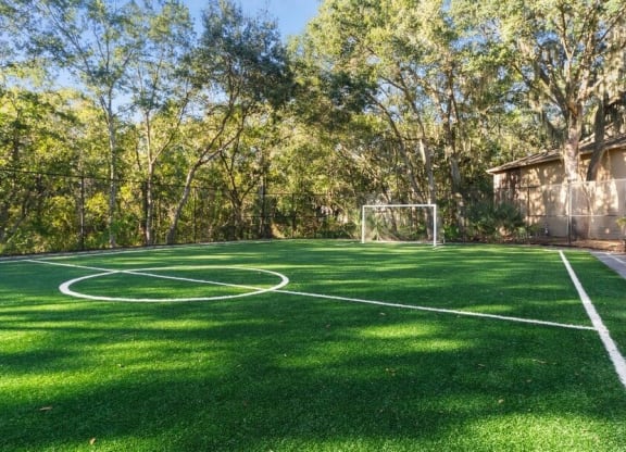 Soccer Field