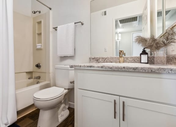 Model bathroom