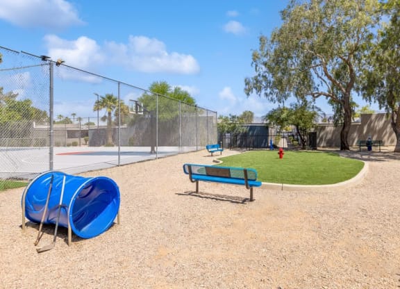 Community Dog Park with Agility Equipment at Lakeside Casitas Apartments in Tucson, AZ.