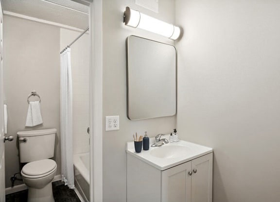 Model Bathroom with a separated Bathtub/Shower/Toilet, Wood-Style Flooring & White Cabinets at Elevate on Parkway, Burnsville, MN
