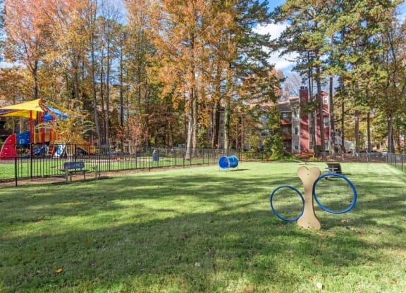 Dog park