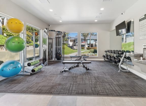 Community Fitness Center with Equipment, Drinking Fountain & Window View at Forest Park Apartments in El Cajon, CA.