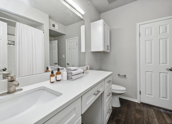 Model bathroom at Bridges at Oakbend, Lewisvillle