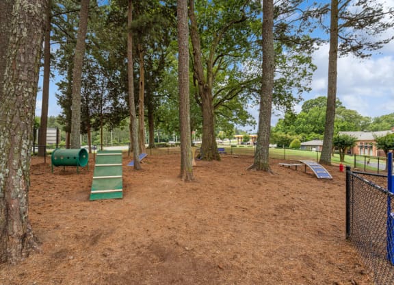 take a stroll through the dog park