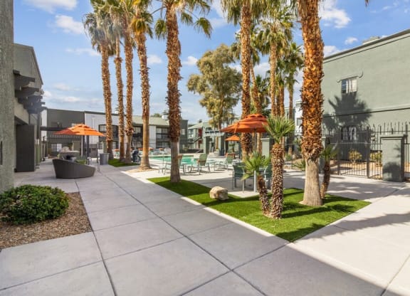 a courtyard with palm trees and a building in the background