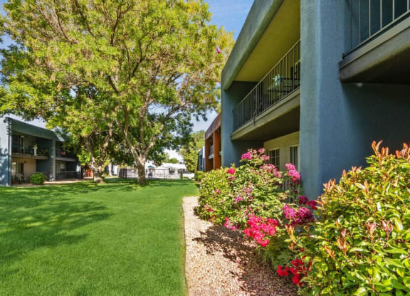 Exterior Community Building and Landscape at Indigo Park Apartments in Albuquerque, NM.