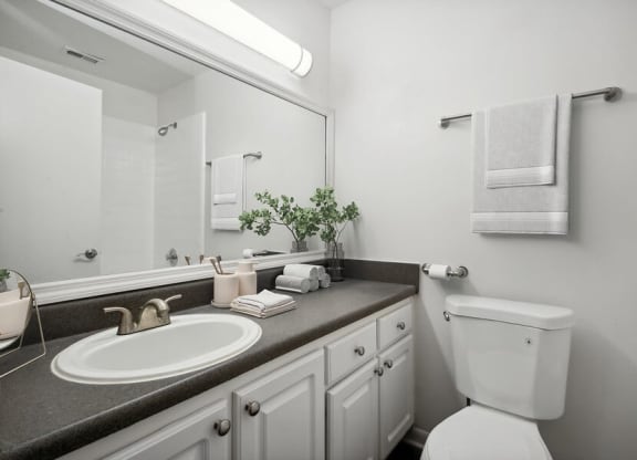 Model primary bathroom