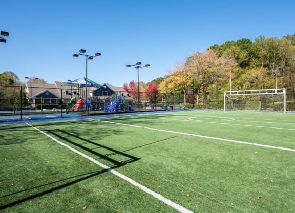 Soccer field