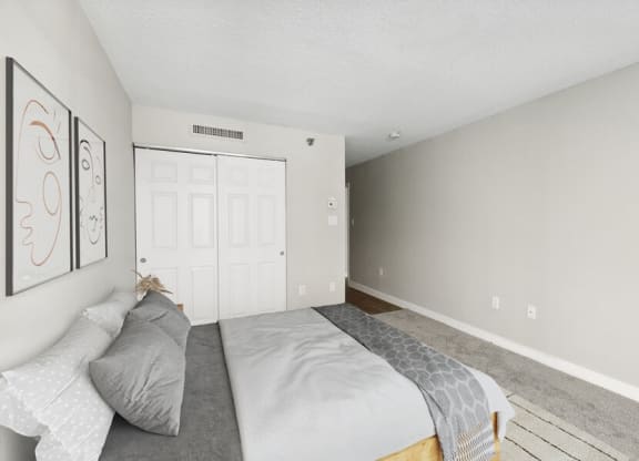Model bedroom with closet