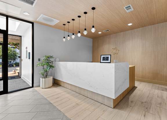 A reception area with a white counter and a plant in a white pot.