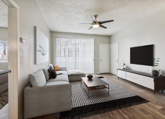 a living room with a couch a coffee table and a tv
