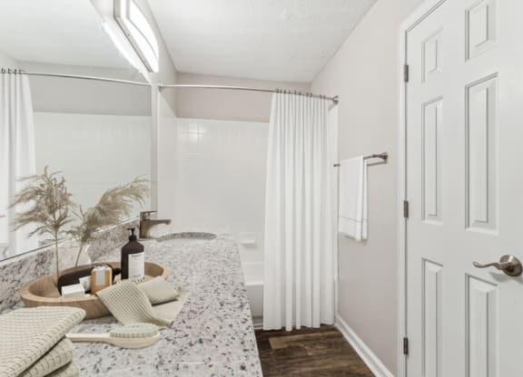 Model apartment bathroom