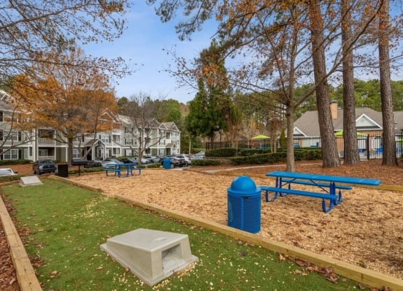 Cornhole court