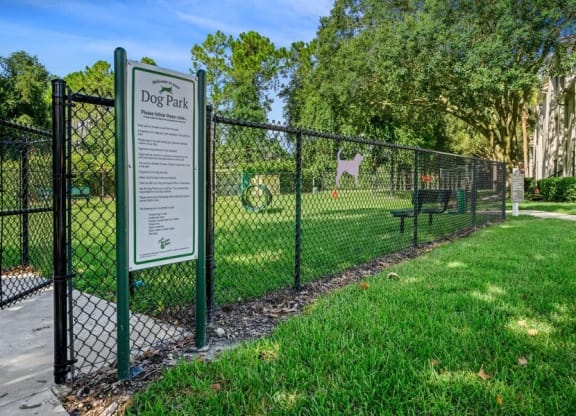 Fenced in Dog Park