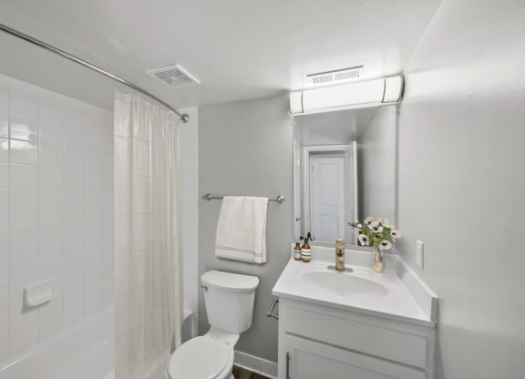 Model bathroom