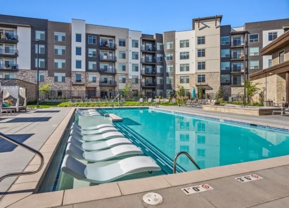 Pool with loungers