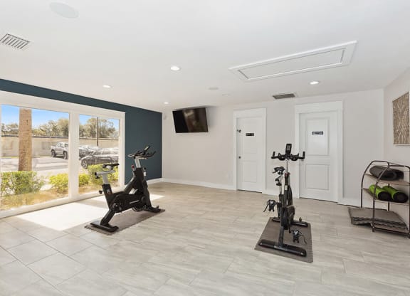 Community Fitness Center with Equipment at Seven Lakes at Carrollwood Apartments in Tampa, FL.