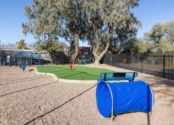 Community Dog Park with grass area and speed/agility equipment at Lakeside Casitas in Tucson, AZ.