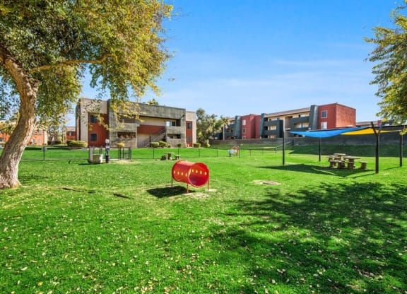 Pet park agility equipment at Saratoga Ridge, Phoenix, AZ, 85022