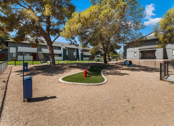 Dog park