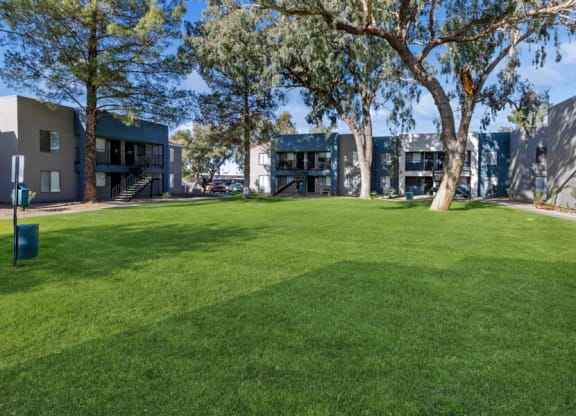 Green lawn with the apartments in the background