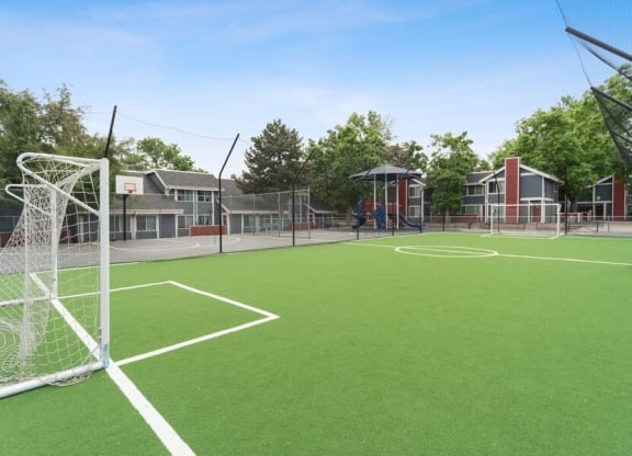 Soccer field