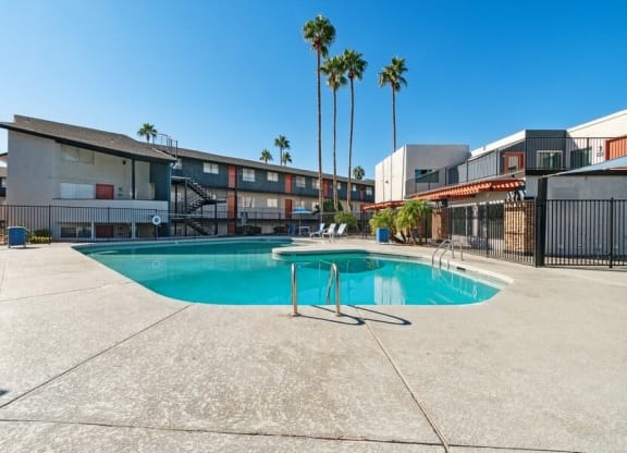 Swimming pool and palm trees