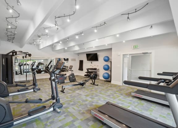 Treadmills in fitness center