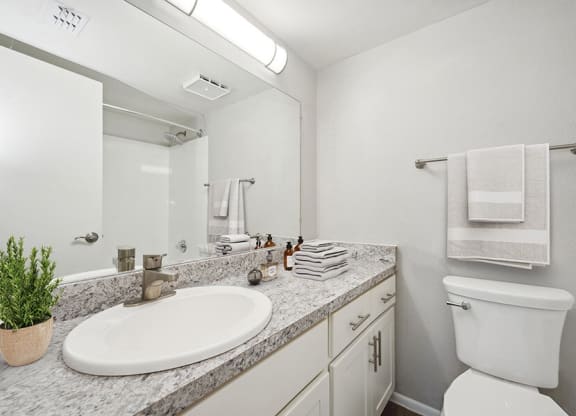 Model Bathroom with Wood-Style Flooring and White Cabinets at Country Club Verandas Apartments located in Mesa, AZ.