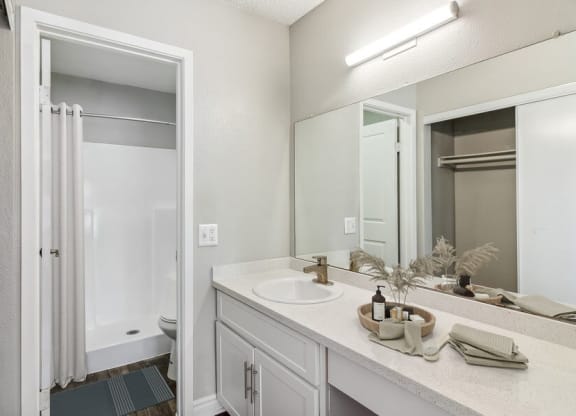 a bathroom with a sink and a shower