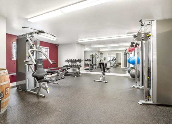 Fitness center with lifting equipment