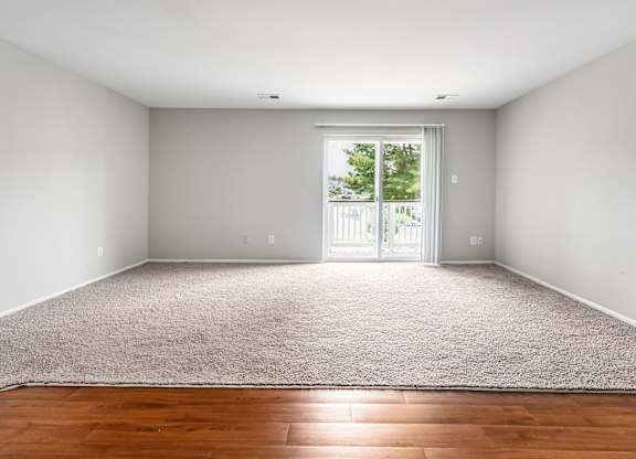 A room with a carpeted floor and a sliding glass door leading outside.