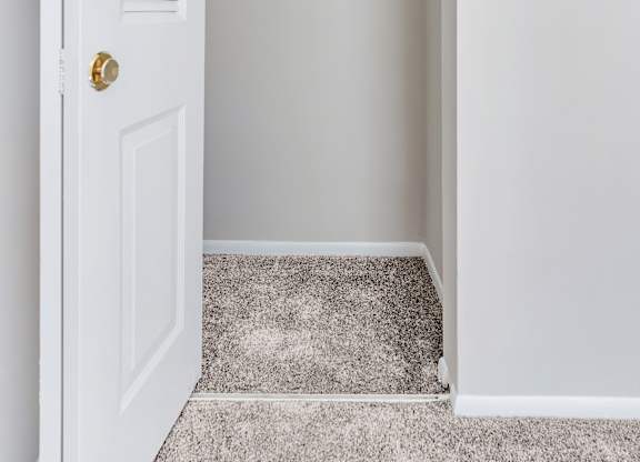 A white door with a gold handle is open to a white interior.