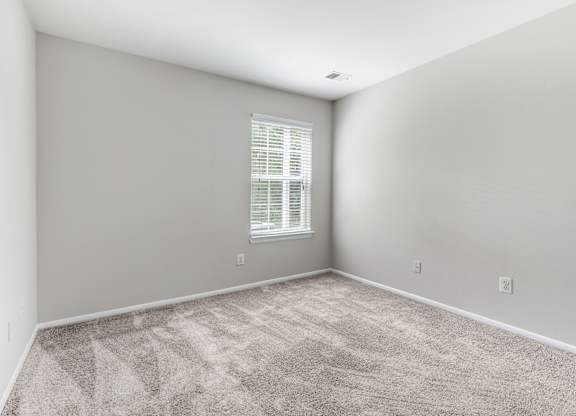 A room with a carpeted floor and a window with blinds.