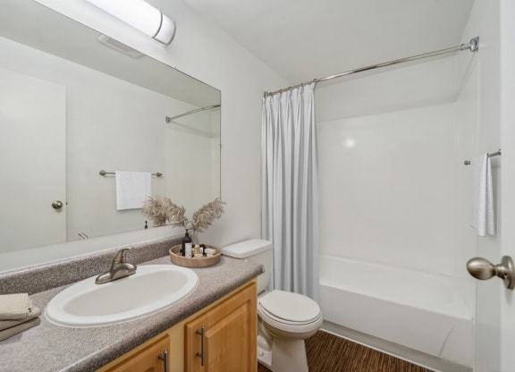 Model bathroom with cedar vanity