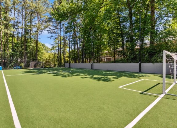 Community Soccer Field with Nets at Dunwoody Village Apartments in Atlanta, GA.