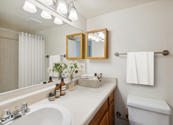 Model bathroom