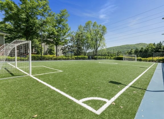 Soccer Field