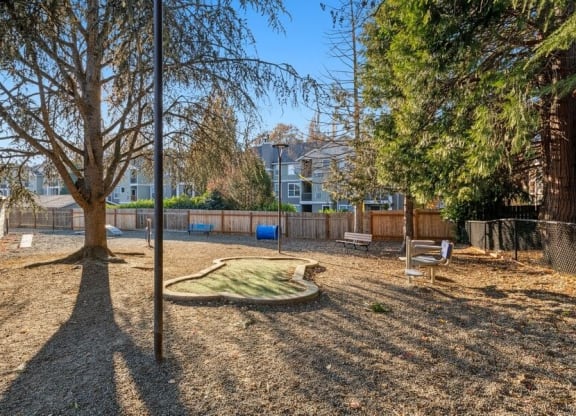 Dog park