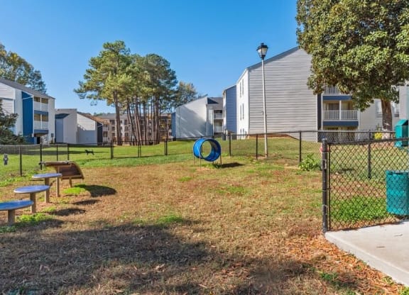 Dog park with agility equipment