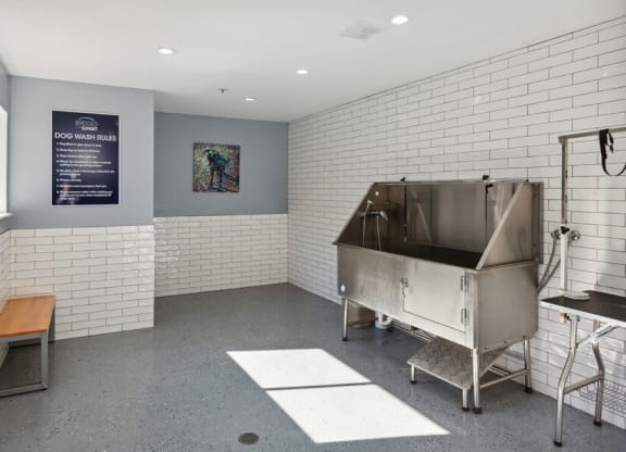 Dog wash room